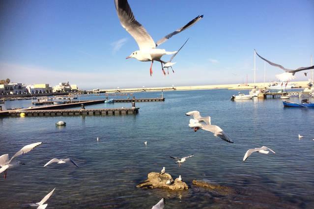 Annette Rooms Bari Bagian luar foto